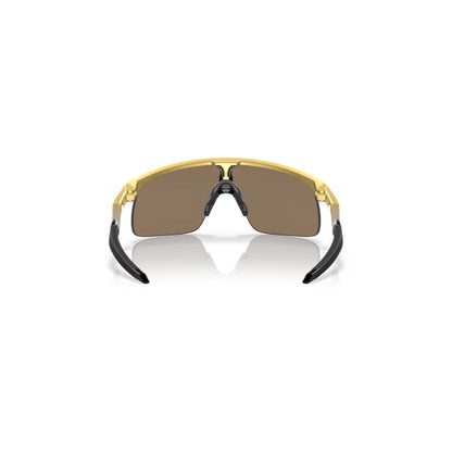 GAFAS OAKLEY | RESISTOR DORADAS LENTE PRIZM 24K EDITED